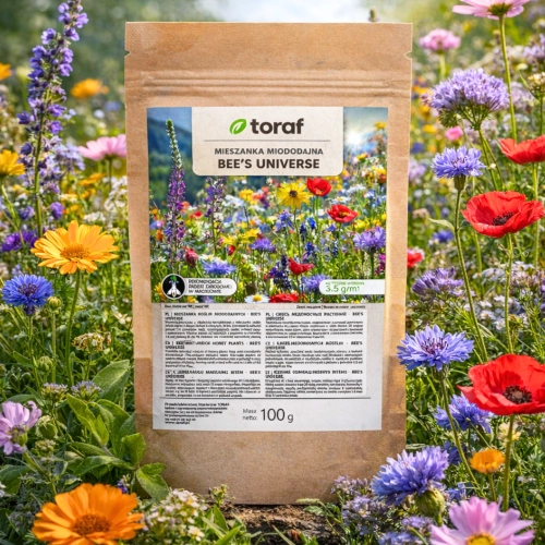 Łąka kwietna Mieszanka roślin miododajnych Bee's Universe nasiona do ogrodu 100g TORAF sklep rajogrodnika